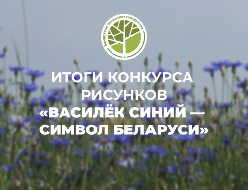 Подведены итоги конкурса детского рисунка «Василек синий – символ Беларуси»