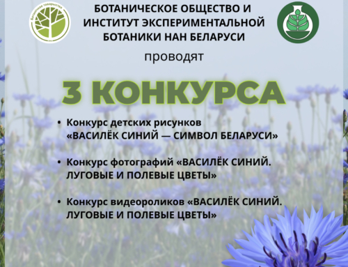 Ботаническое общество и Институт экспериментальной ботаники НАН Беларуси проводят 3 КОНКУРСА